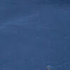 charco_4311